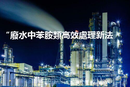 “廢水中苯胺類高效處理新法，環(huán)保先鋒引領綠色以后”